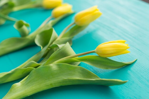Tulipanes amarillos en mesa de madera azul