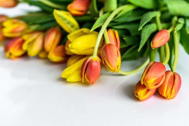 Tulipanes amarillos, naranjas y rojos