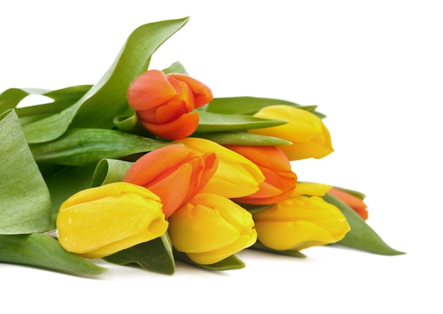 Tulipanes amarillos y naranjas