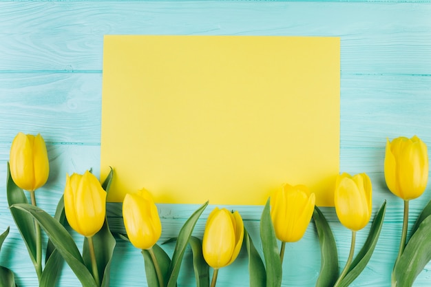 Tulipanes amarillos y postal sobre un fondo de madera azul