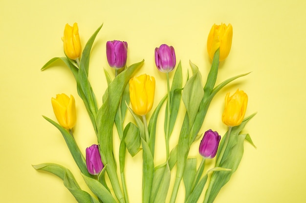 Tulipanes amarillos y púrpuras de las flores en un ramo en un fondo amarillo, un fondo festivo de la primavera