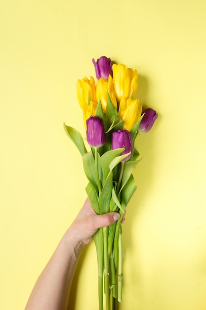 Tulipanes amarillos y púrpuras de las flores en un ramo en un fondo amarillo y las manos de una mujer,