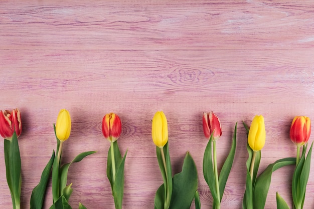 Los tulipanes amarillos, rojos y rosados en un fondo de madera rosado copian el espacio.