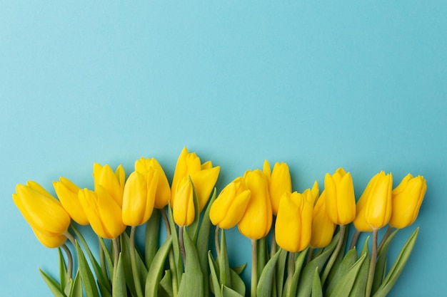 Tulipanes amarillos sobre fondo azul Espacio para texto Se acerca la primavera Vista superior