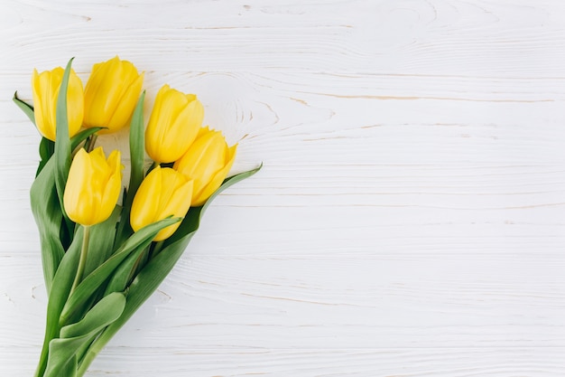 Tulipanes amarillos sobre un fondo blanco de madera