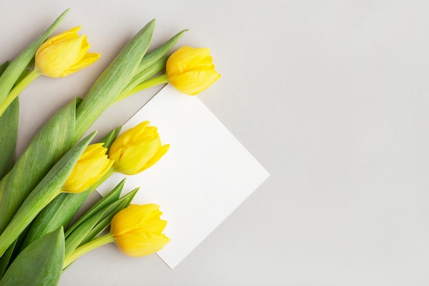 Tulipanes amarillos sobre un fondo gris, postal blanca para escribir