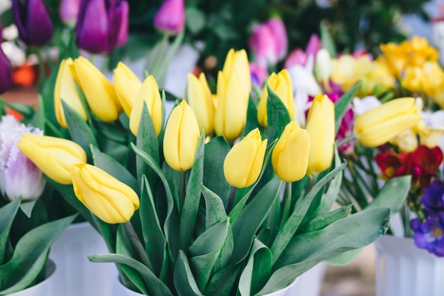 Tulipanes amarillos en la tienda de flores.