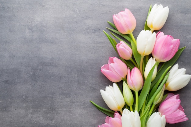 Tulipanes, blanco y rosa sobre gris