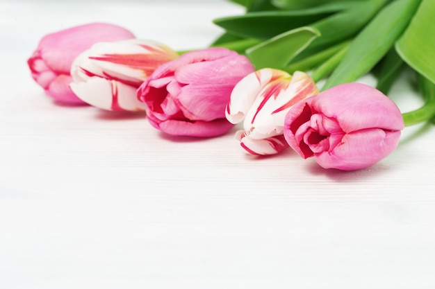 Tulipanes blancos y rosados de cerca en la superficie de madera blanca