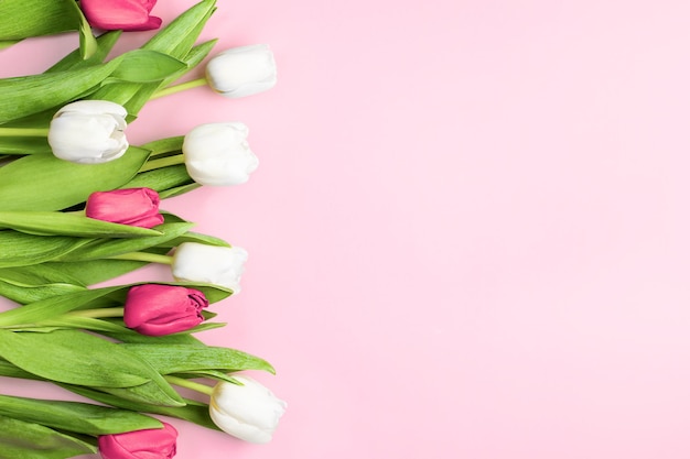 Tulipanes blancos y rosas en una tarjeta de felicitación de fondo rosa