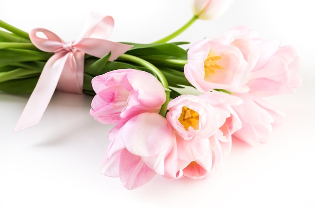 Tulipanes de color rosa claro sobre un fondo blanco.