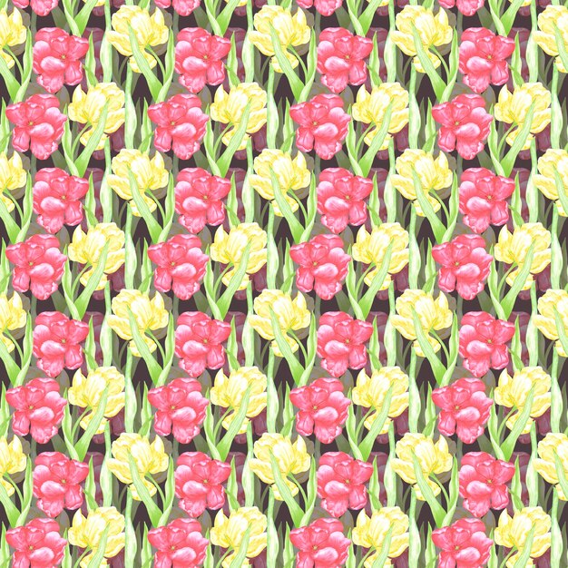 Tulipanes escarlata y amarillos de acuarela dibujados a mano con hojas verdes patrón sin costuras Ilustración aislada en fondo oscuro Se puede usar para envolver telas textiles y otros productos impresos