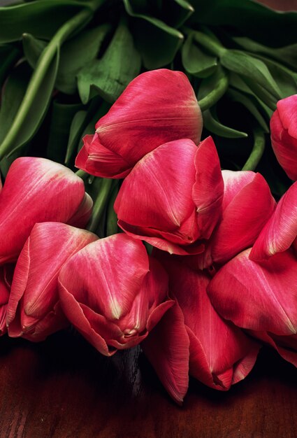 Tulipanes florecientes