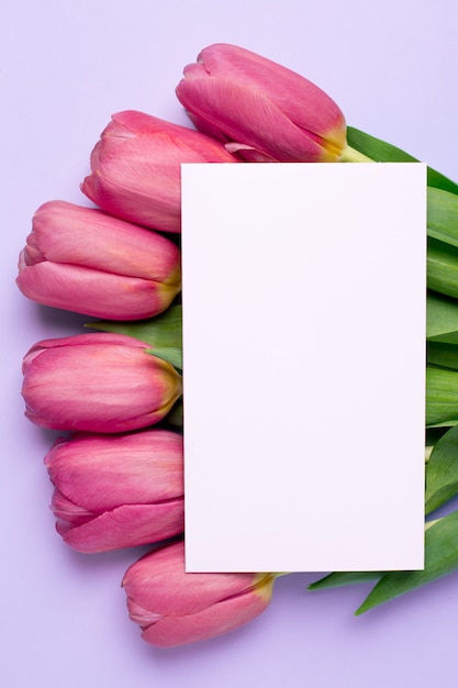 Tulipanes de flores rosas y tarjeta presente en una superficie lila