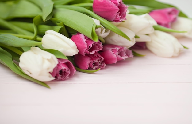 Tulipanes frescos sobre un fondo blanco de madera para el Día de la Madre