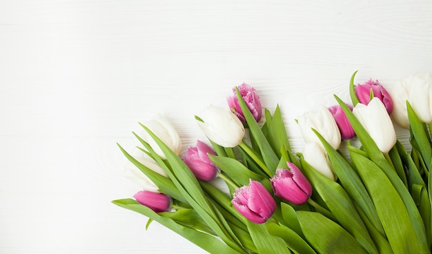 Tulipanes frescos sobre un fondo blanco de madera para el Día de la Madre