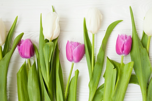 Tulipanes frescos sobre un fondo blanco de madera para el Día de la Madre