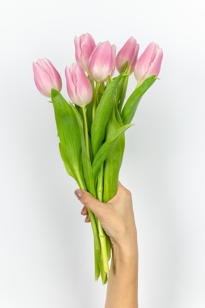 Tulipanes holandeses Ramo de tulipanes rosas en una mano femenina Día de la Madre Pascua Día de San Valentín