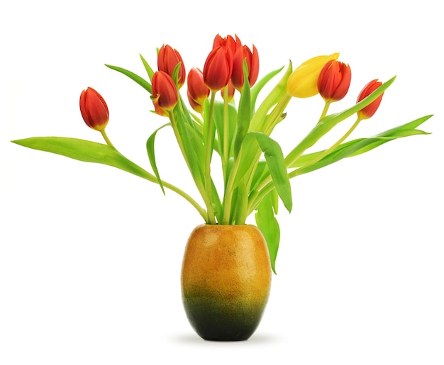Tulipanes en un jarrón sobre un fondo blanco con tulipanes rojos y uno amarillo, con hojas