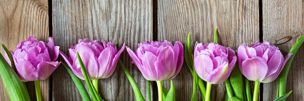 Tulipanes lilas sobre un fondo de madera feliz día de la madre vacaciones y regalo de cumpleaños Concepto de primavera