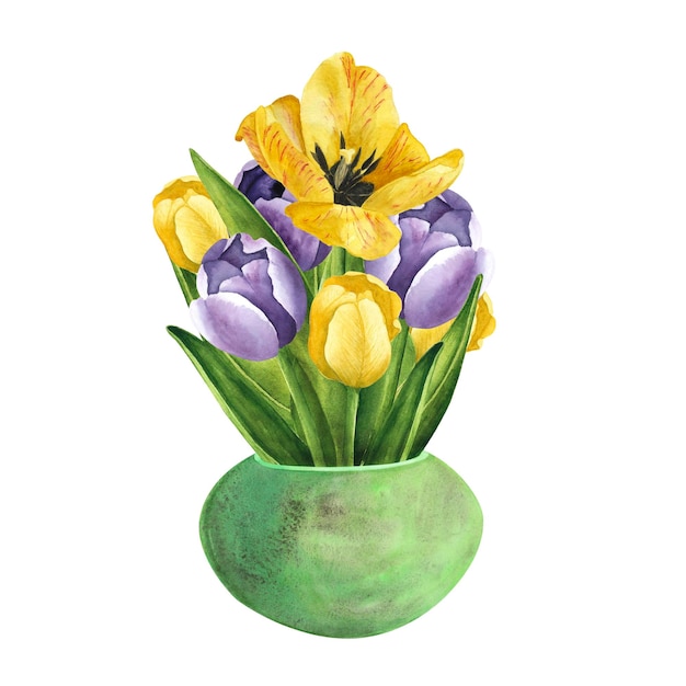 Tulipanes con maceta de cerámica verde sobre fondo blanco Ilustración de dibujo a mano de acuarela Arte para la marcha del día de la mujer