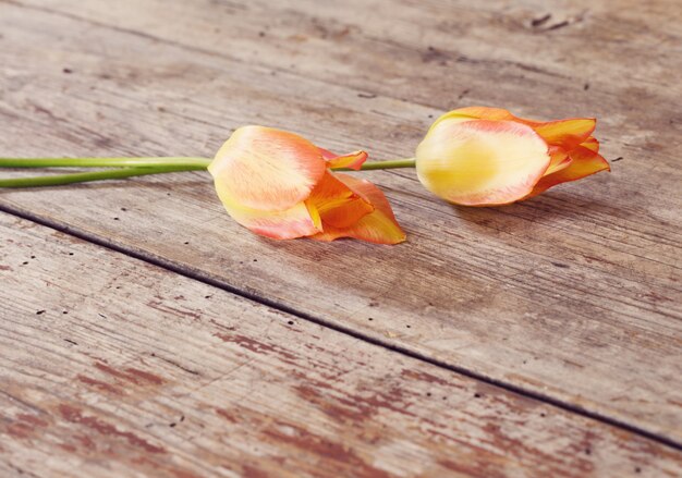 Tulipanes en mesa de madera