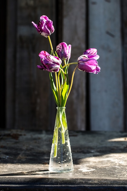 Tulipanes morados en un jarrón