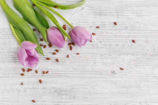 Tulipanes morados en mesa de madera