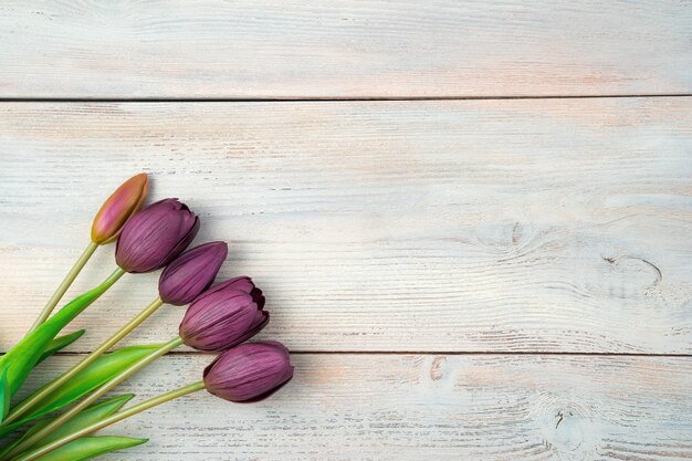 Tulipanes morados sobre un fondo de madera clara. Vista superior con espacio para copiar.