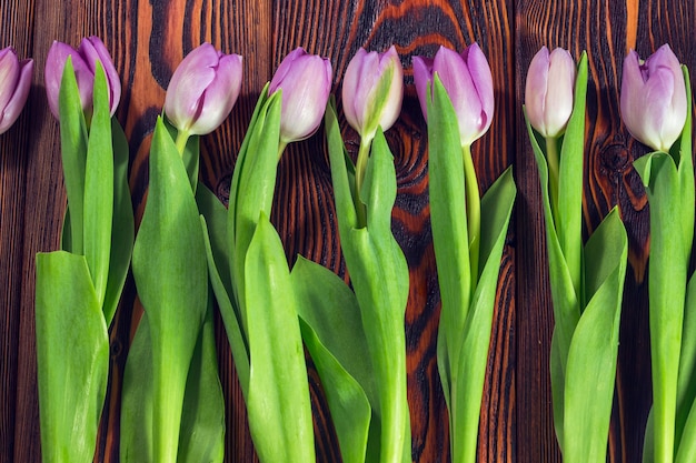 Tulipanes morados sobre un fondo de madera oscura.