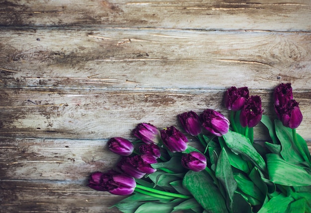 Tulipanes morados de Terry en el fondo de madera, lugar para su texto