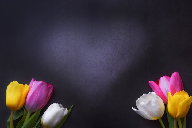 Tulipanes multicolores y un corazón contra una pared gris oscuro.