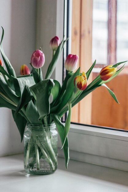 Tulipanes multicolores en un frasco de vidrio de agua en el alféizar de la ventana