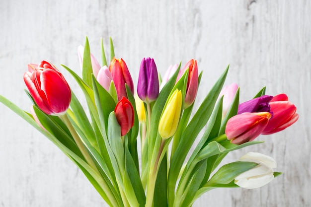 Tulipanes en la pared gris.