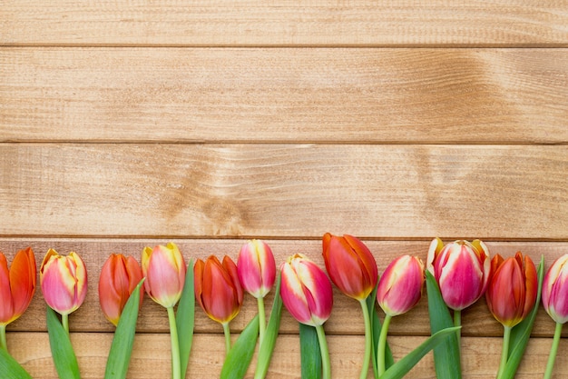 Tulipanes de Pascua de primavera en balde en madera