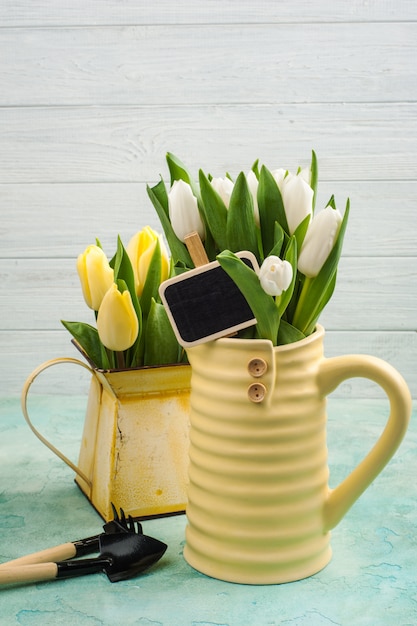 Tulipanes de primavera en florero amarillo y regadera