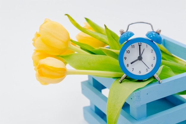 Tulipanes de primavera con reloj despertador.