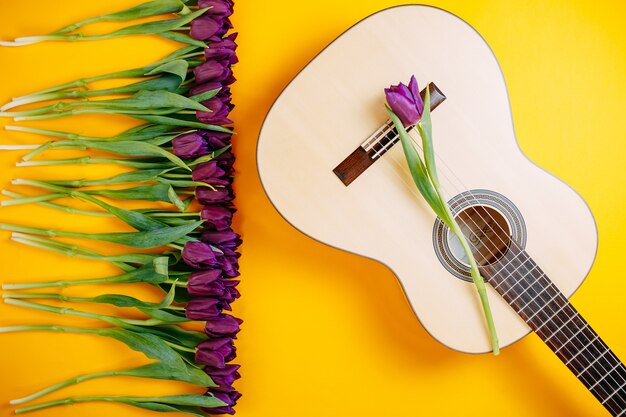 Tulipanes púrpuras en una fila en fondo anaranjado con el espacio de la copia. Guitarra blanca con flores sobre fondo naranja. Endecha plana con flores.