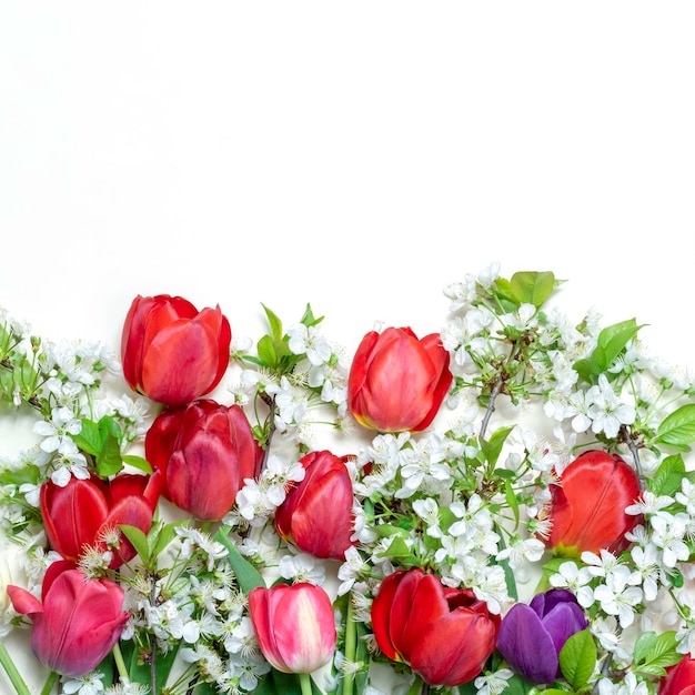 Tulipanes y ramas de flores de cerezo sobre un fondo blanco backgroundFloral