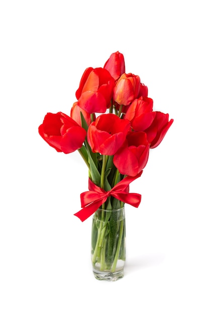 Tulipanes rojos aislados en blanco