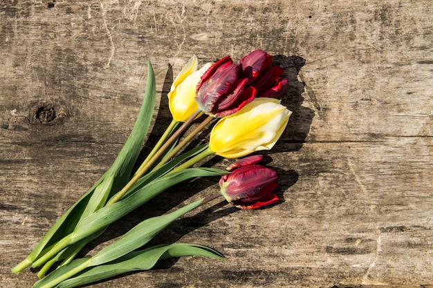 Tulipanes rojos y amarillos sobre fondo de madera rústica con espacio de copia