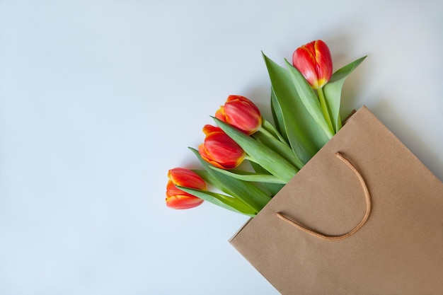 Tulipanes rojos en la bolsa de papel flores de colores vista superior roja y blanca con espacio para el texto