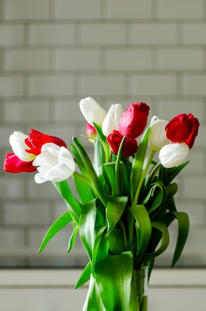 Tulipanes rojos frescos en cocina. Presente de marido, hombre.