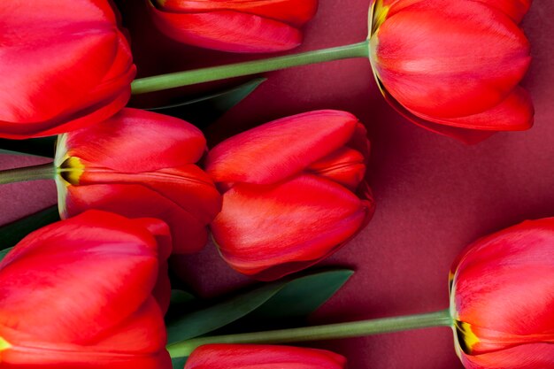 Tulipanes rojos con pétalos brillantes en un ramo