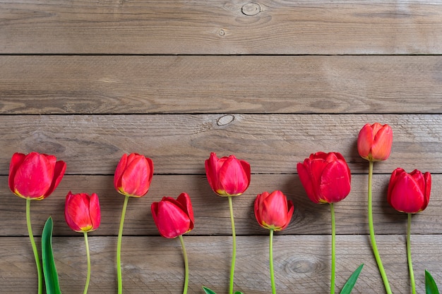 Tulipanes rojos sobre fondo de madera con espacio para texto, mensaje. Día de la Madre, Hola concepto de primavera.