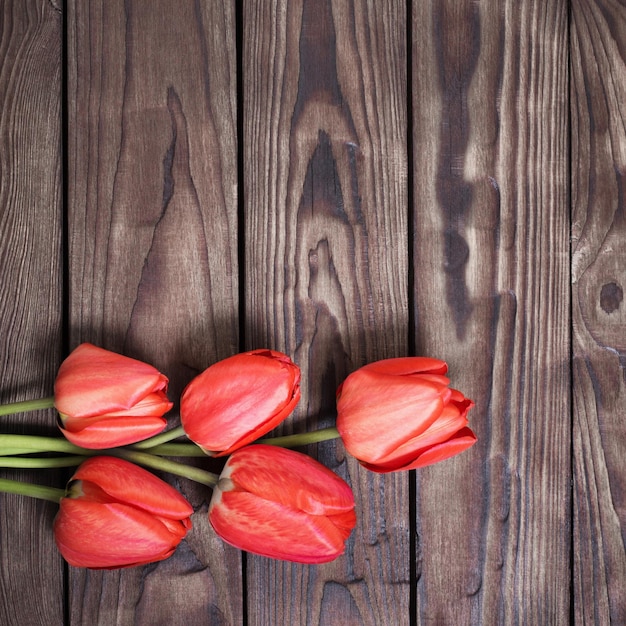 Tulipanes rojos sobre fondo de madera oscura