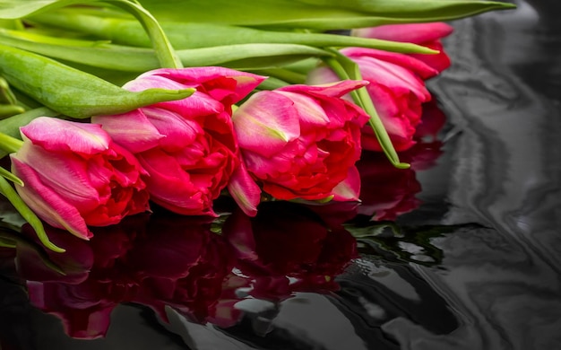 Tulipanes rojos sobre fondo reflectante negro