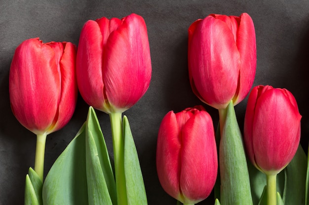 Tulipanes rojos sobre papel de regalo negro