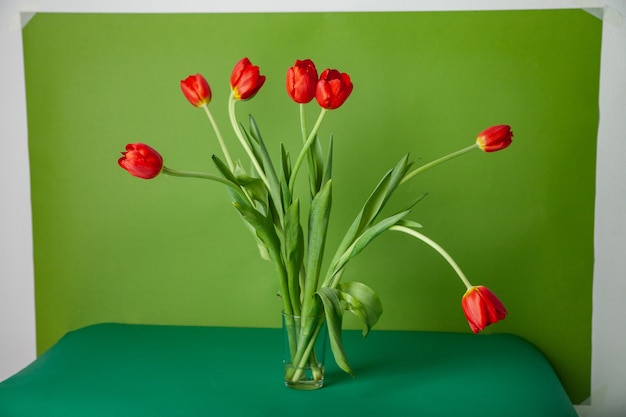 Tulipanes rojos en vaso contra el fondo verde