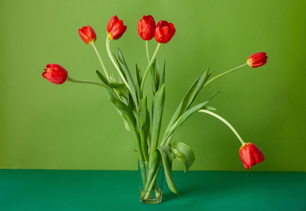 Tulipanes rojos en vaso contra el fondo verde